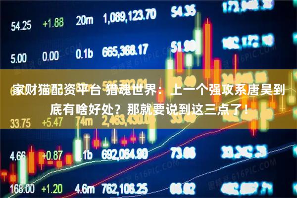 家财猫配资平台 猎魂世界：上一个强攻系唐昊到底有啥好处？那就要说到这三点了！