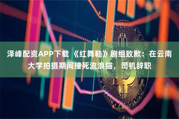 泽峰配资APP下载 《红舞鞋》剧组致歉：在云南大学拍摄期间撞死流浪猫，司机辞职