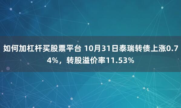 如何加杠杆买股票平台 10月31日泰瑞转债上涨0.74%，转股溢价率11.53%