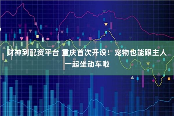 财神到配资平台 重庆首次开设！宠物也能跟主人一起坐动车啦