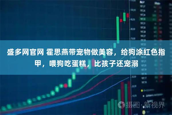 盛多网官网 霍思燕带宠物做美容，给狗涂红色指甲，喂狗吃蛋糕，比孩子还宠溺