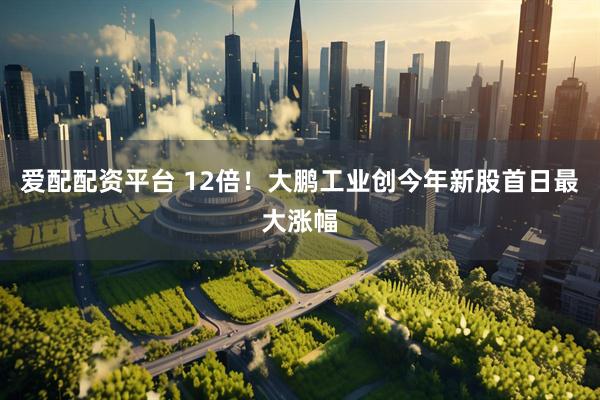 爱配配资平台 12倍！大鹏工业创今年新股首日最大涨幅