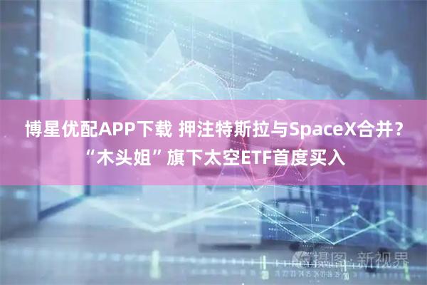 博星优配APP下载 押注特斯拉与SpaceX合并？“木头姐”旗下太空ETF首度买入