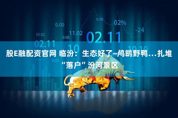 股E融配资官网 临汾：生态好了~鸬鹚野鸭…扎堆“落户”汾河景区
